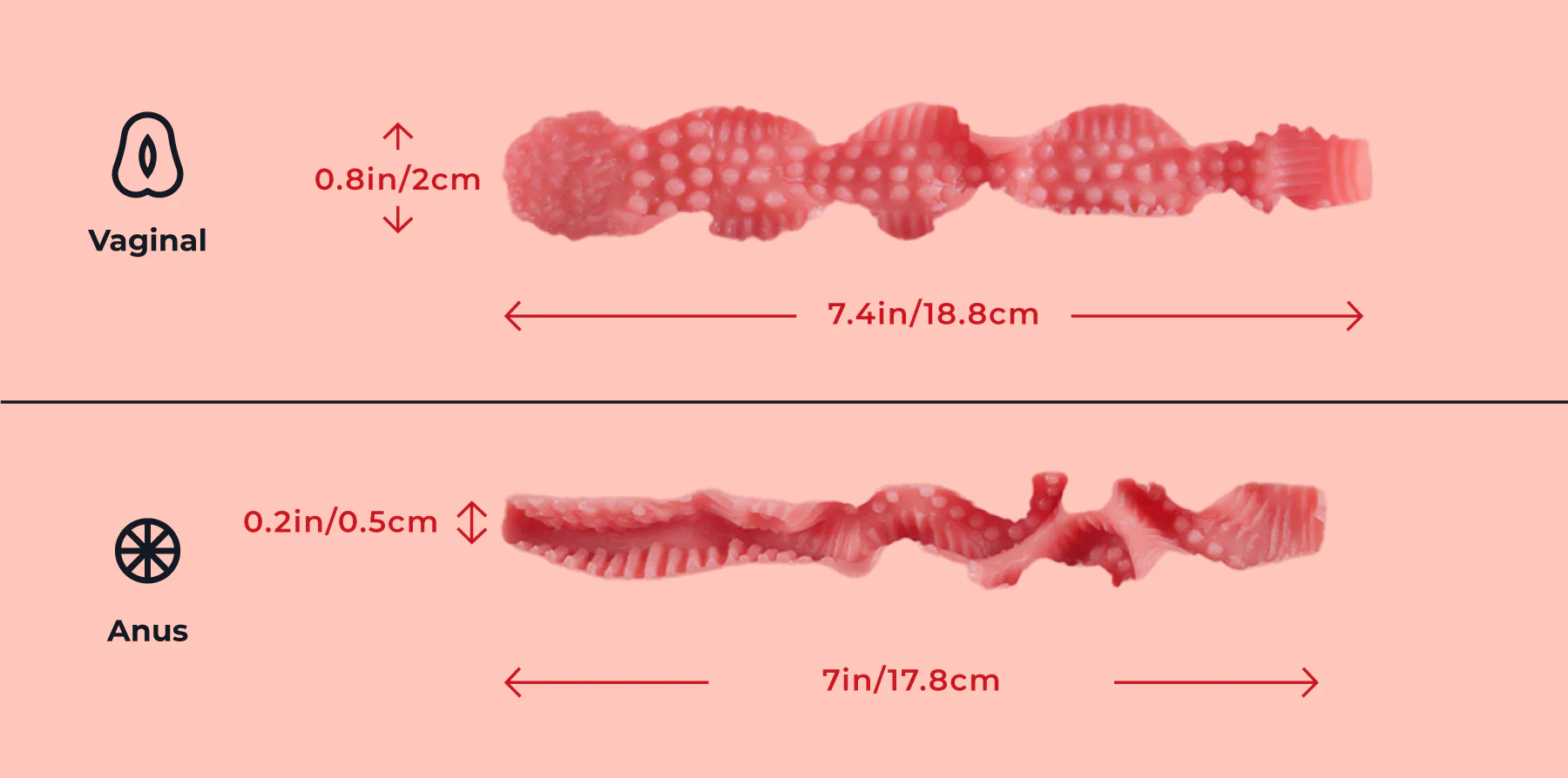 Tantaly Jennifer 2.0