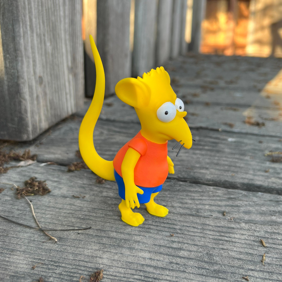 Bart Simpsons Rat Boy