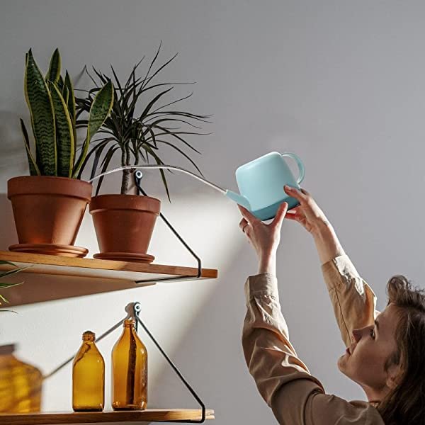 Long spout watering cans sprinklers home
