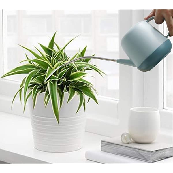 Long spout watering cans sprinklers home