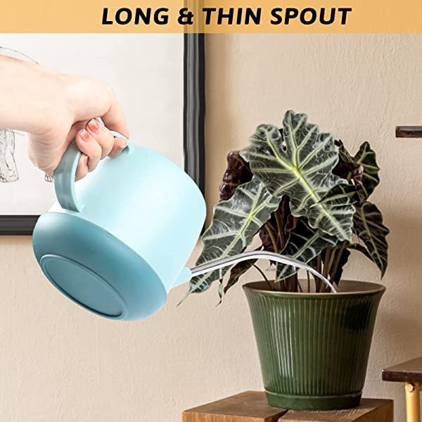 Long spout watering cans sprinklers home