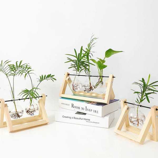 Vintage Hydroponic Plant Vase