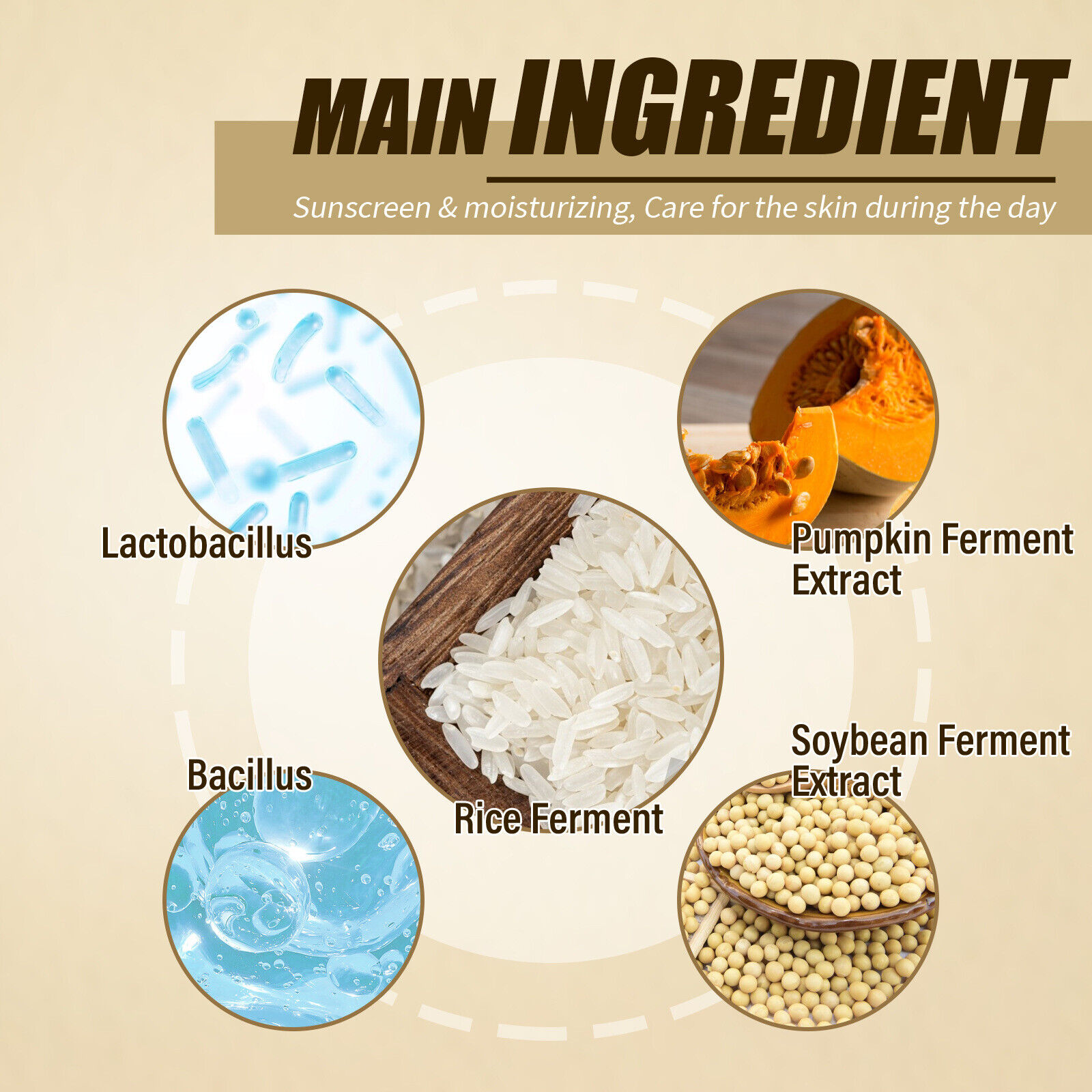 Beauty of Joseon Facial Sunscreens, Korean Sunscreen Spf 50+ PA++++ | Rice Probiotic Face Sunscreen | Water Resistant And Non-Greasy Korean Skincare Sunscreen Stick 50ml