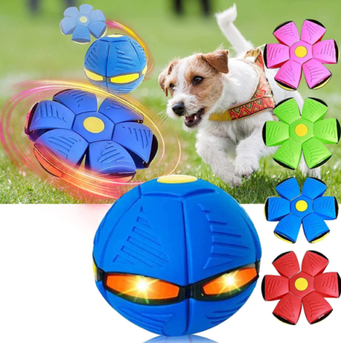 2023 New Pet Toys Dog Cat Flying Saucer Ball