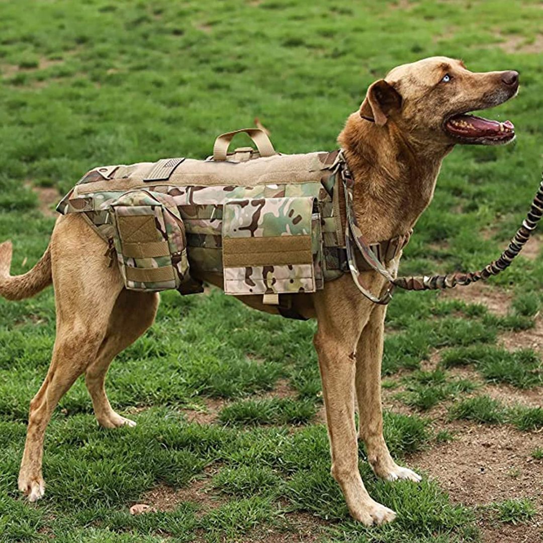 Tactical Dog Harness Vest Adjustable Military Working Dog Vest Training