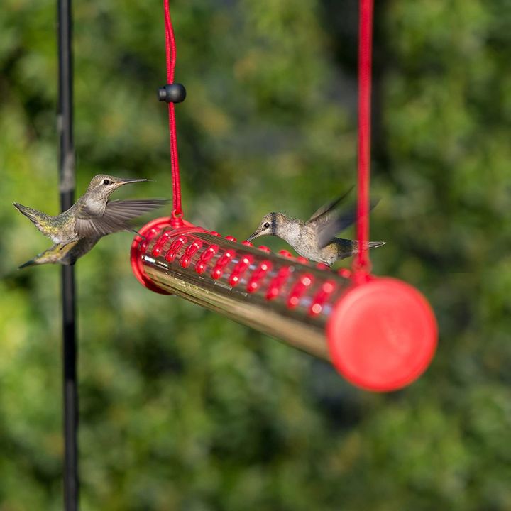Hanging long tube bird feeder