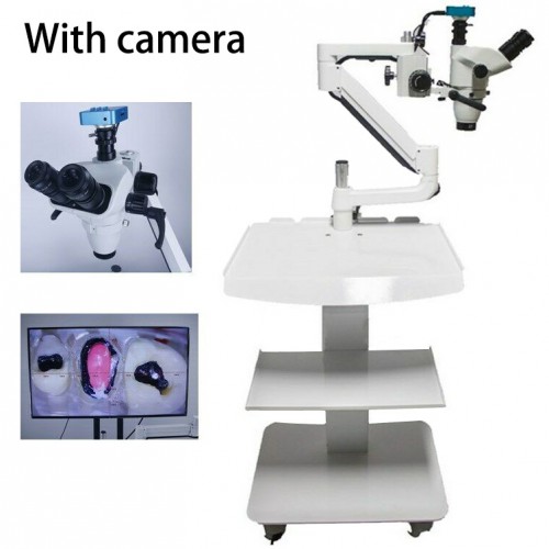 Dental Lab Equipment Dental Loupes 5W Trolley Type Dental Endo Therapy Operating Microscope Loups with Camera