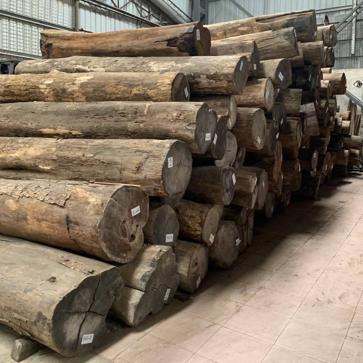 Burmese teak wood raw material is very thick