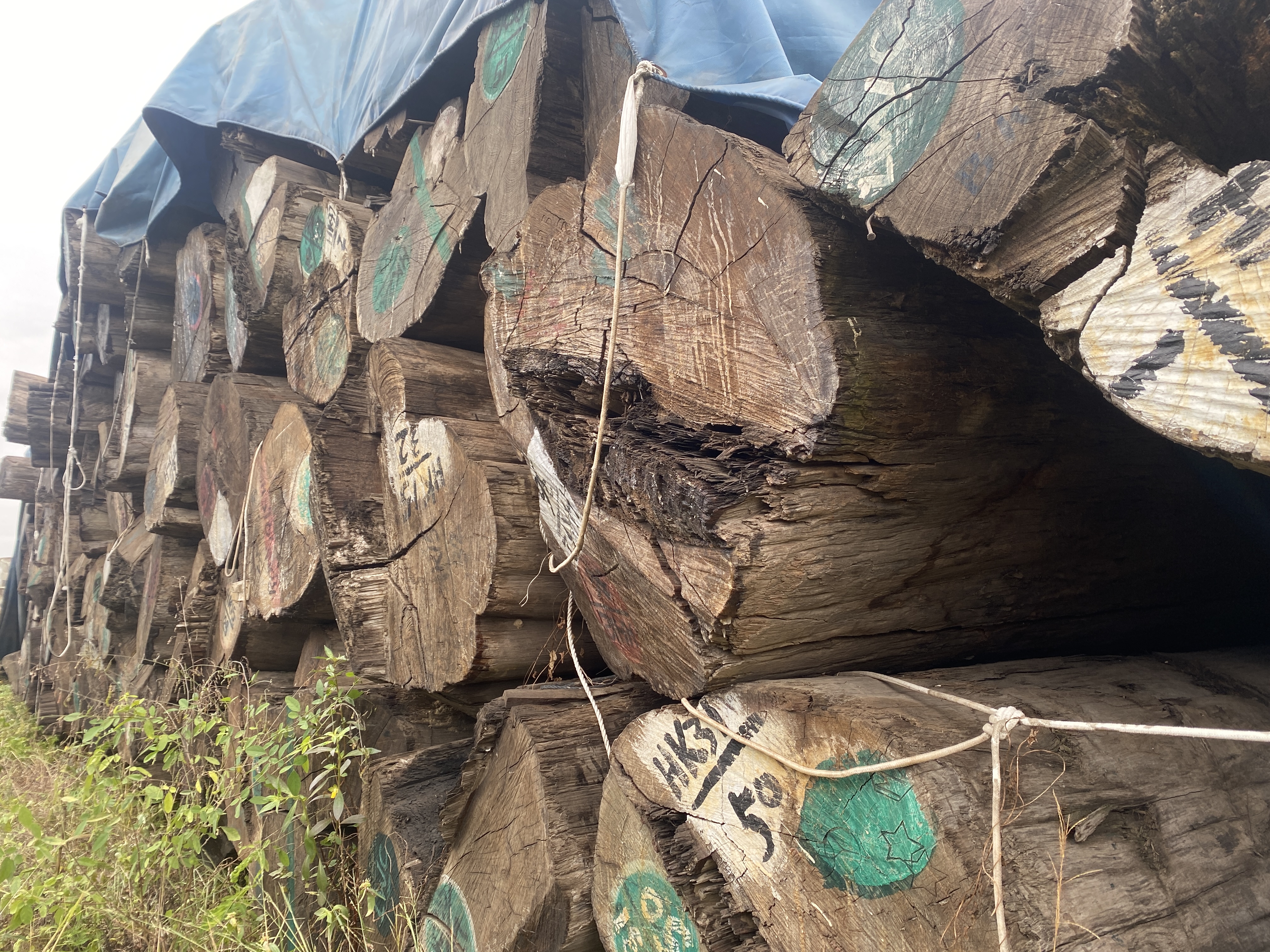 Burmese teak timber pile in the Defulin Chinese warehouse