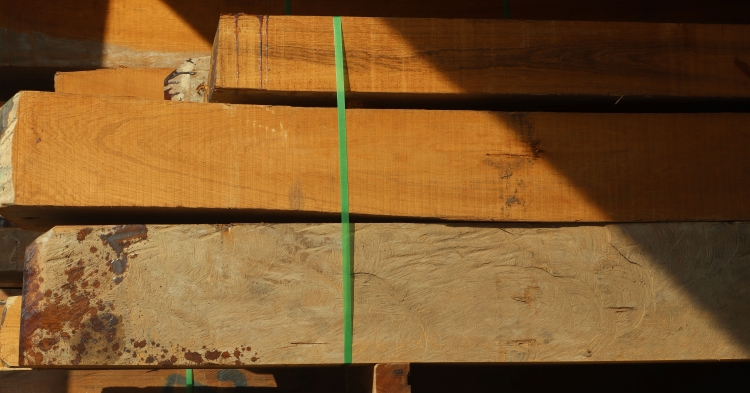 Burmese teak shows a golden luster in the sunlight