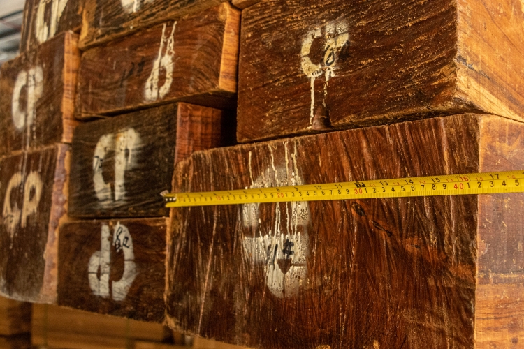 The size of Burmese teak material with over 60 years of age is also very substantial