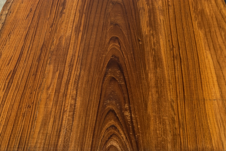 The cut surface of Burmese teak is covered with dense growth rings