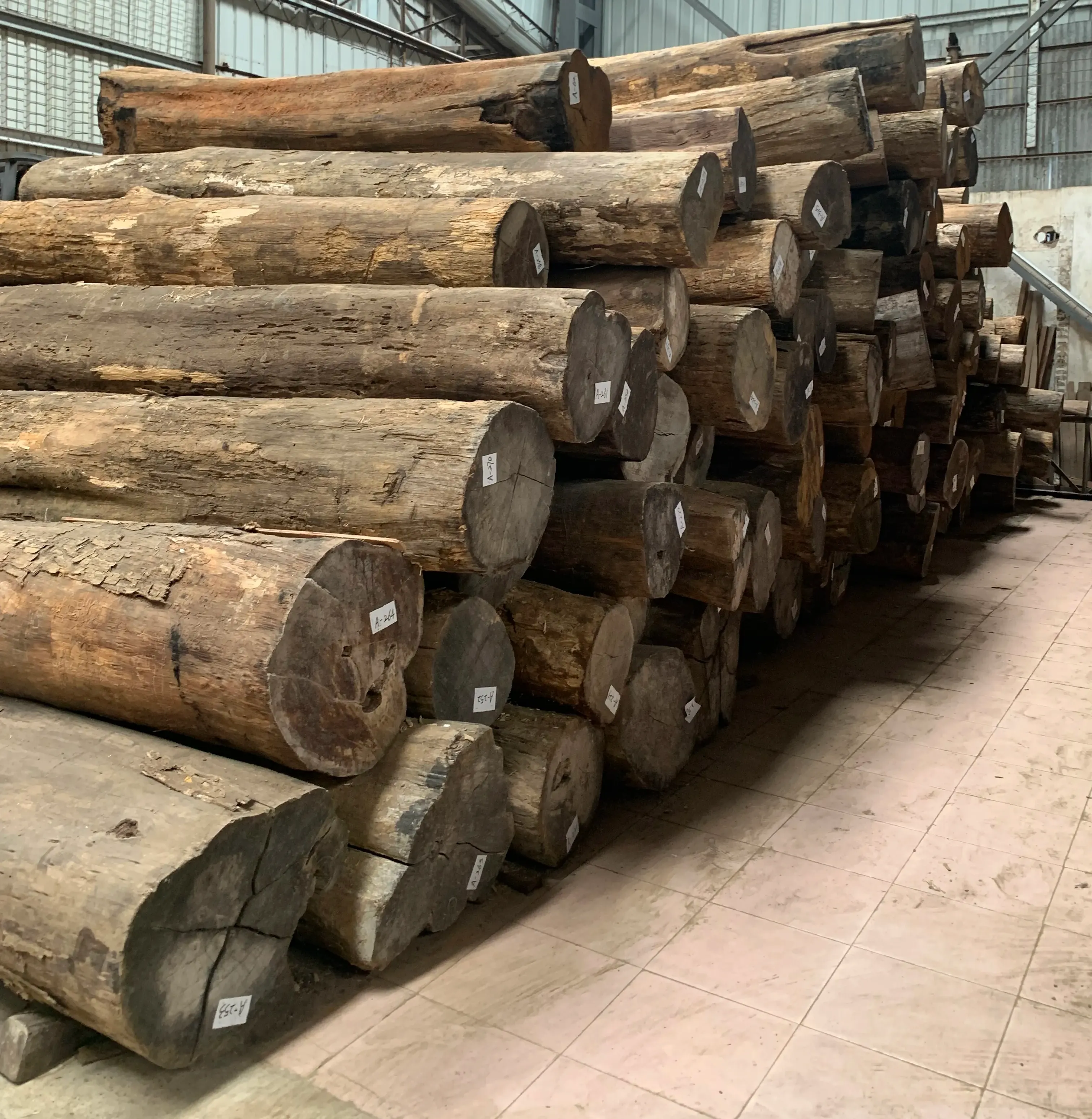 Some of the teak wood logs in Defulin's warehouse.