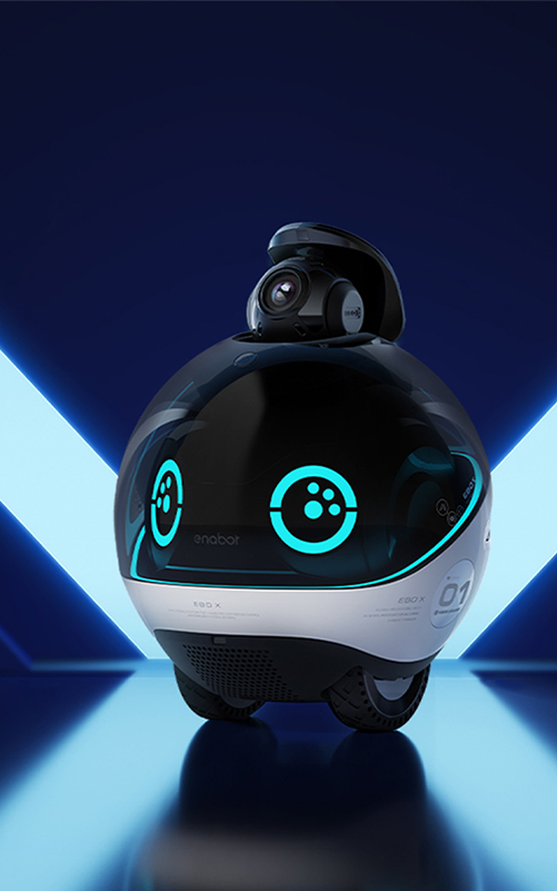 Enabot EBO SE con juego de 2 ruedas, cámara robótica de carga automática  con video, visión nocturna, robot compañero inalámbrico para mascotas