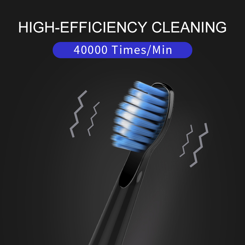 Seago Electric Sonic Toothbrush USB Rechargeable Adult 360 Days Long B