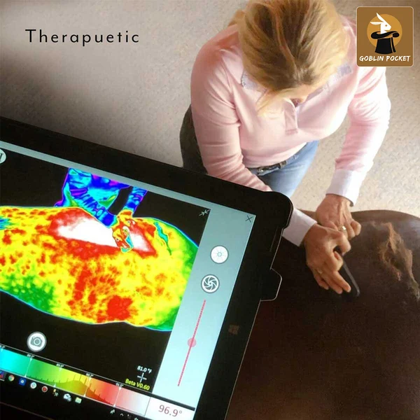 6 In 1 Shedding Grooming Massage Brush