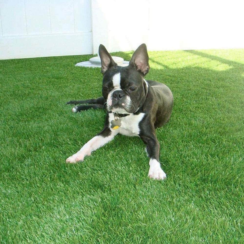 绿色人造草地毯