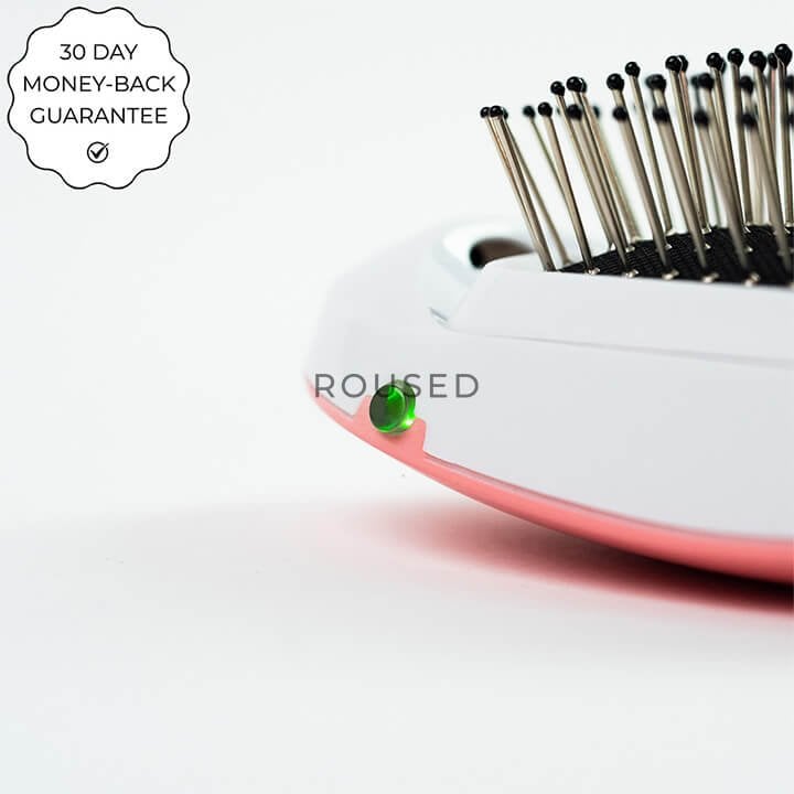 Pro Brush + FREE  BIRD'S NEST HAIRPIN