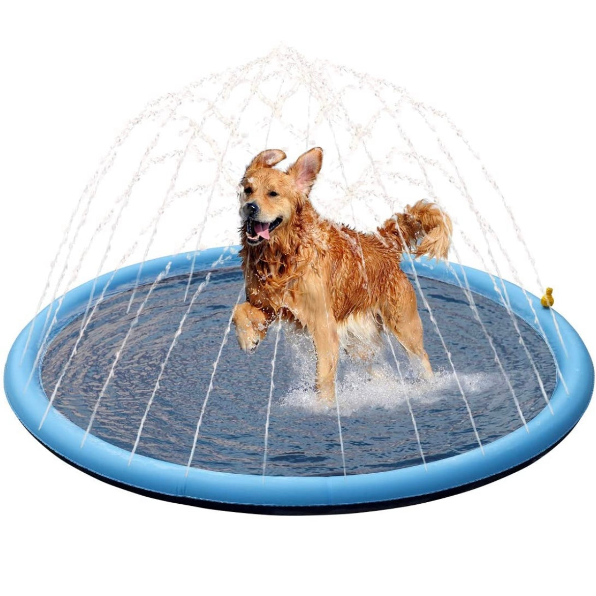 Furry Splasher