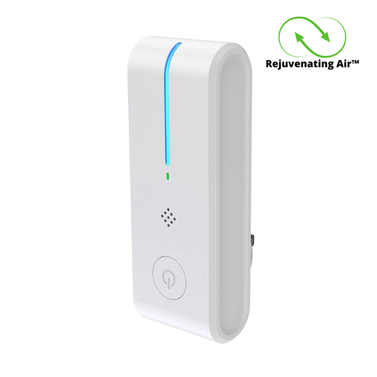 Portable Home Air Purifier 