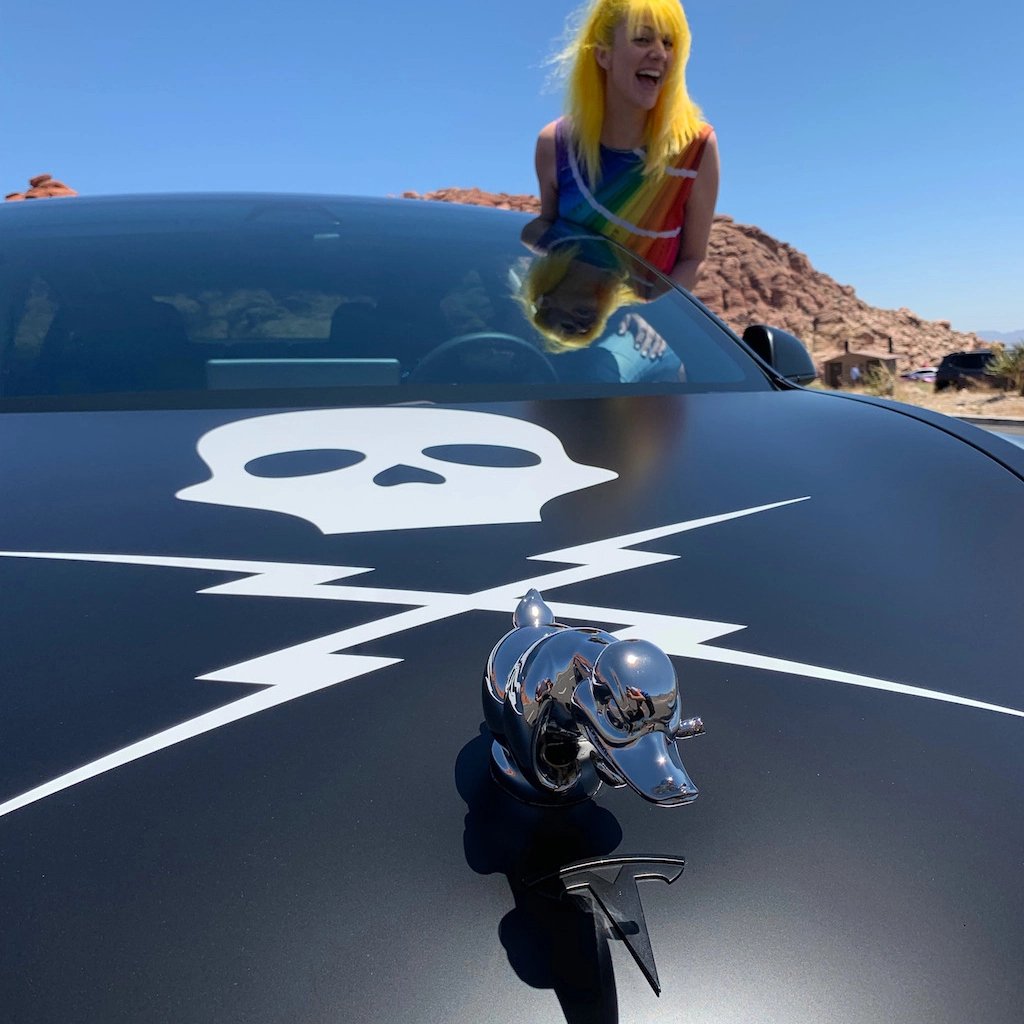 LAST DAY 49% OFF--PROMOTION 🔥 ANGRY DUCK HOOD ORNAMENT DEATH PROOF