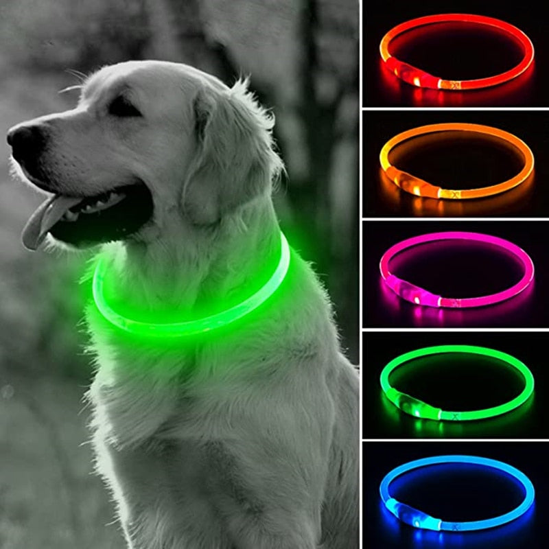 Glow in the Dark LED Reusable Adjustable Dog Collar