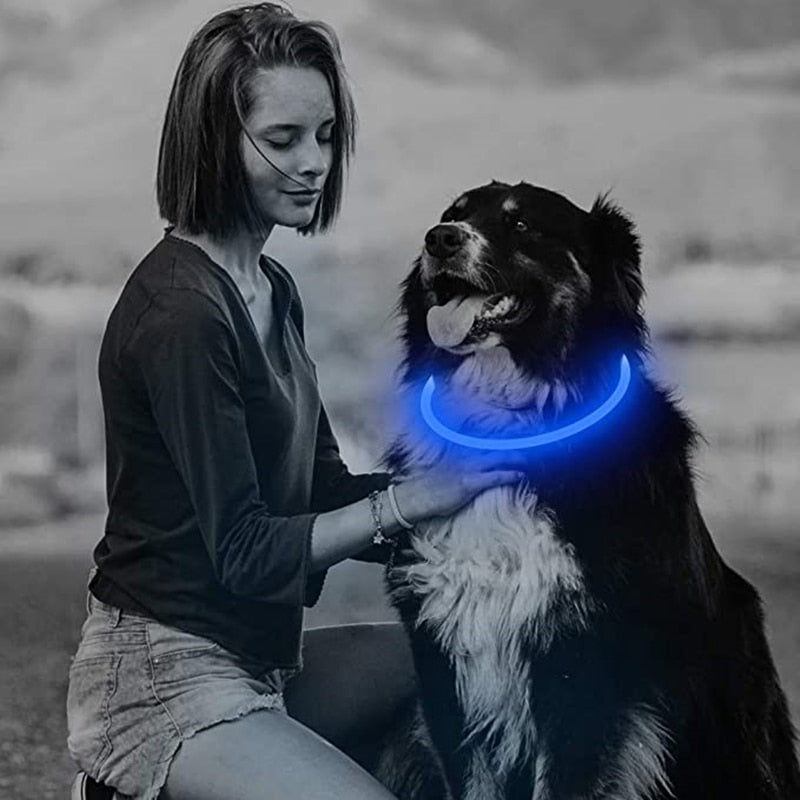 Glow in the Dark LED Reusable Adjustable Dog Collar
