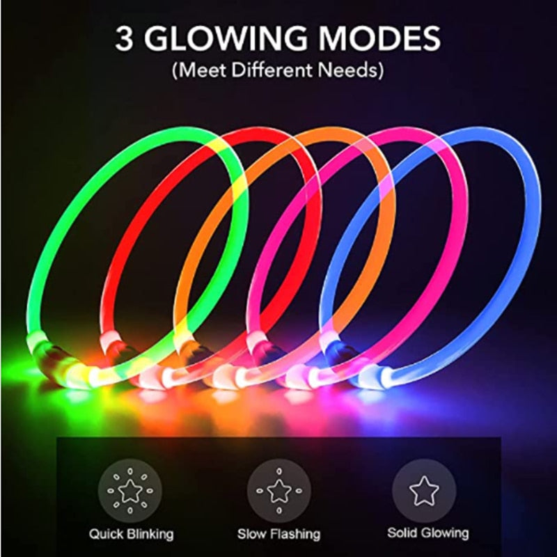 Glow in the Dark LED Reusable Adjustable Dog Collar