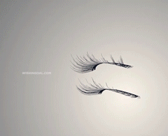 MAGNETIC EYELASHES KIT (4 PCS + FREE TWEEZERS )