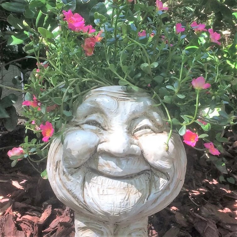Mugglys Face Statue Planter