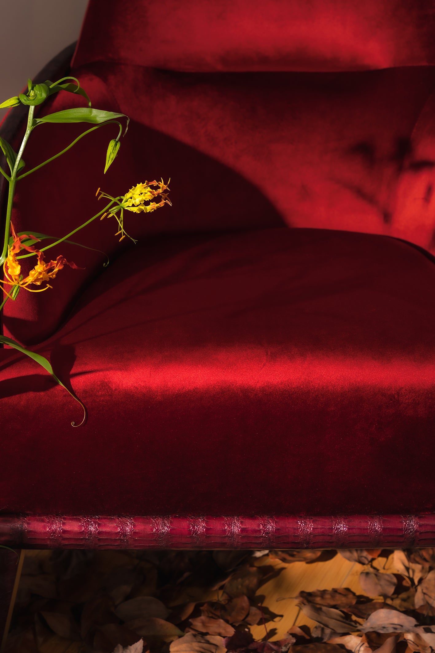 APTV-2586 lounge chair