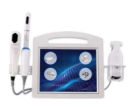 4D+Liposonic+Vaginal+Detection