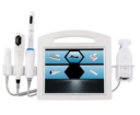 4D+Liposonic+Vaginal+Detection+Radar Carving