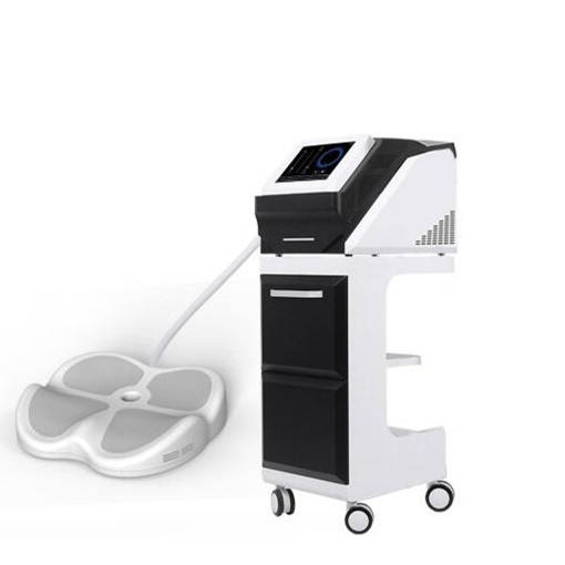 Plevic floor EMs Slim Building Muscle Reducing Fat ems rf sculpting pelvic floor exercisers