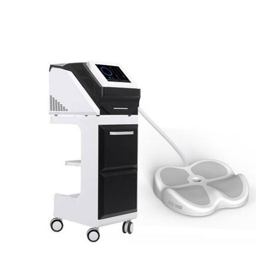 Plevic floor EMs Slim Building Muscle Reducing Fat ems rf sculpting pelvic floor exercisers