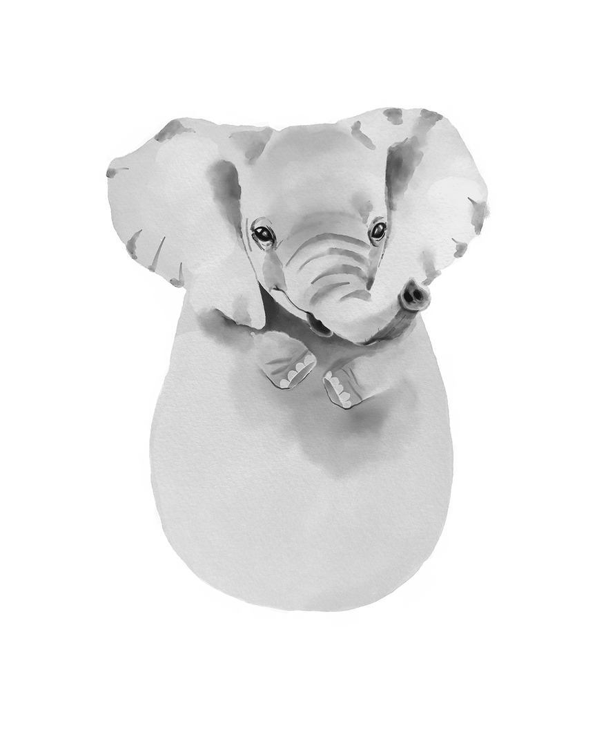 Elephant, Baby Gift and Pets Gift Personalized,, Footprint Set, Mural Baby & Children's Room Animals, Elephant-babyanimal