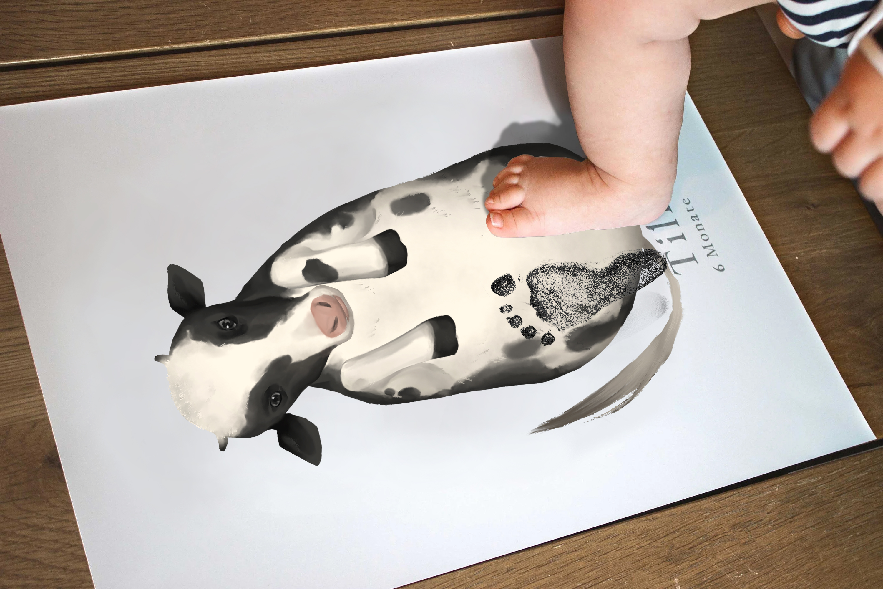 Cute Dairy cow, Baby Gift and Pets Gift Personalized,, Footprint Set, Mural Baby & Children's Room Animals, Dairy cow-babyanimal