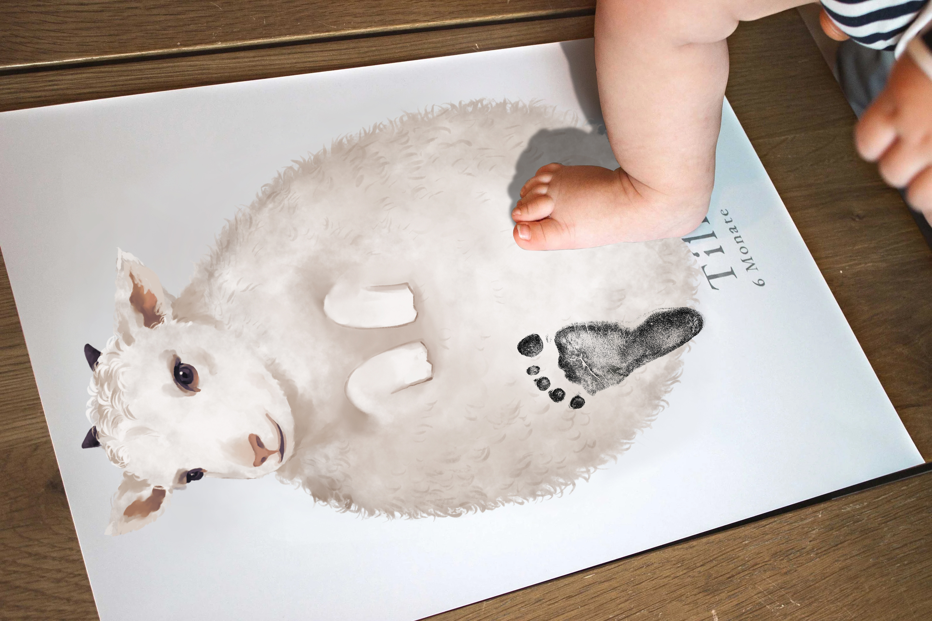 Cute Sheep, Baby Gift and Pets Gift Personalized,, Footprint Set, Mural Baby & Children's Room Animals, Sheep Gift?-babyanimal