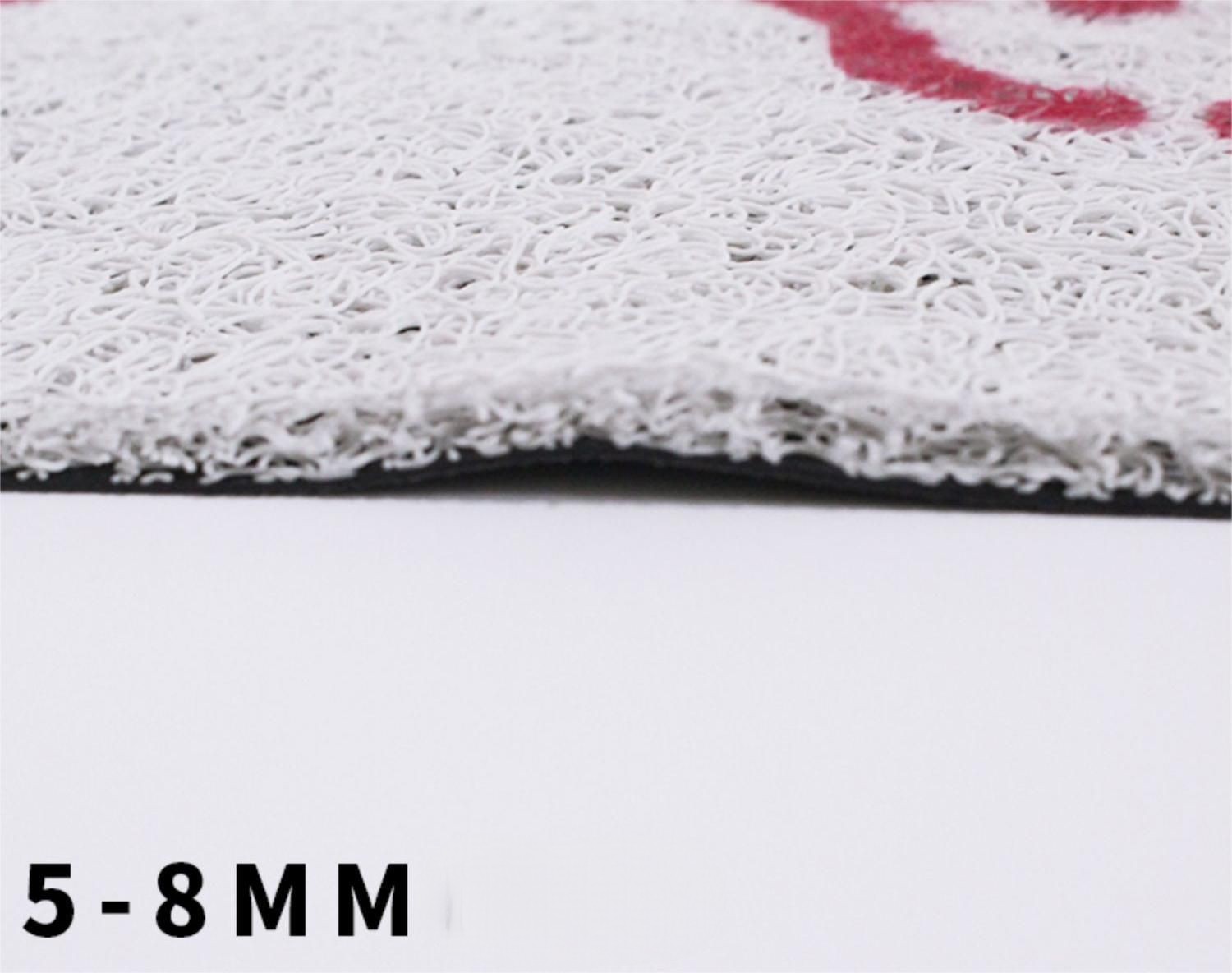 Personalized pvc floor dehumidifier door mat&Personalized welcome mats