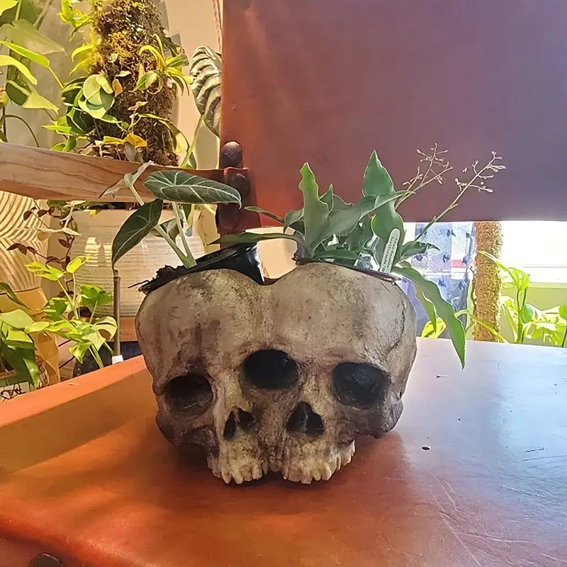 1pc skull planter pots for indoor plants skull plant pot head yard art outdoor and garden decor outside spring skull flower pot for home decorations birthday gag gifts details 4