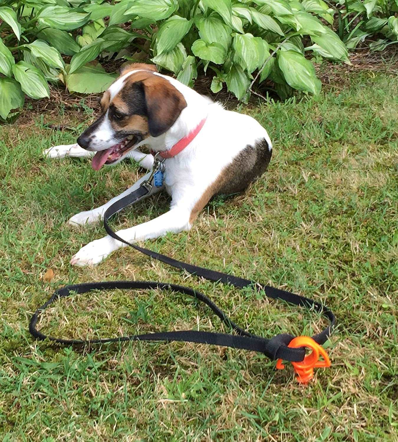 the Ultimate Ground Anchor | Small 4 Pack Tent Stakes | Made in USA (Orange)