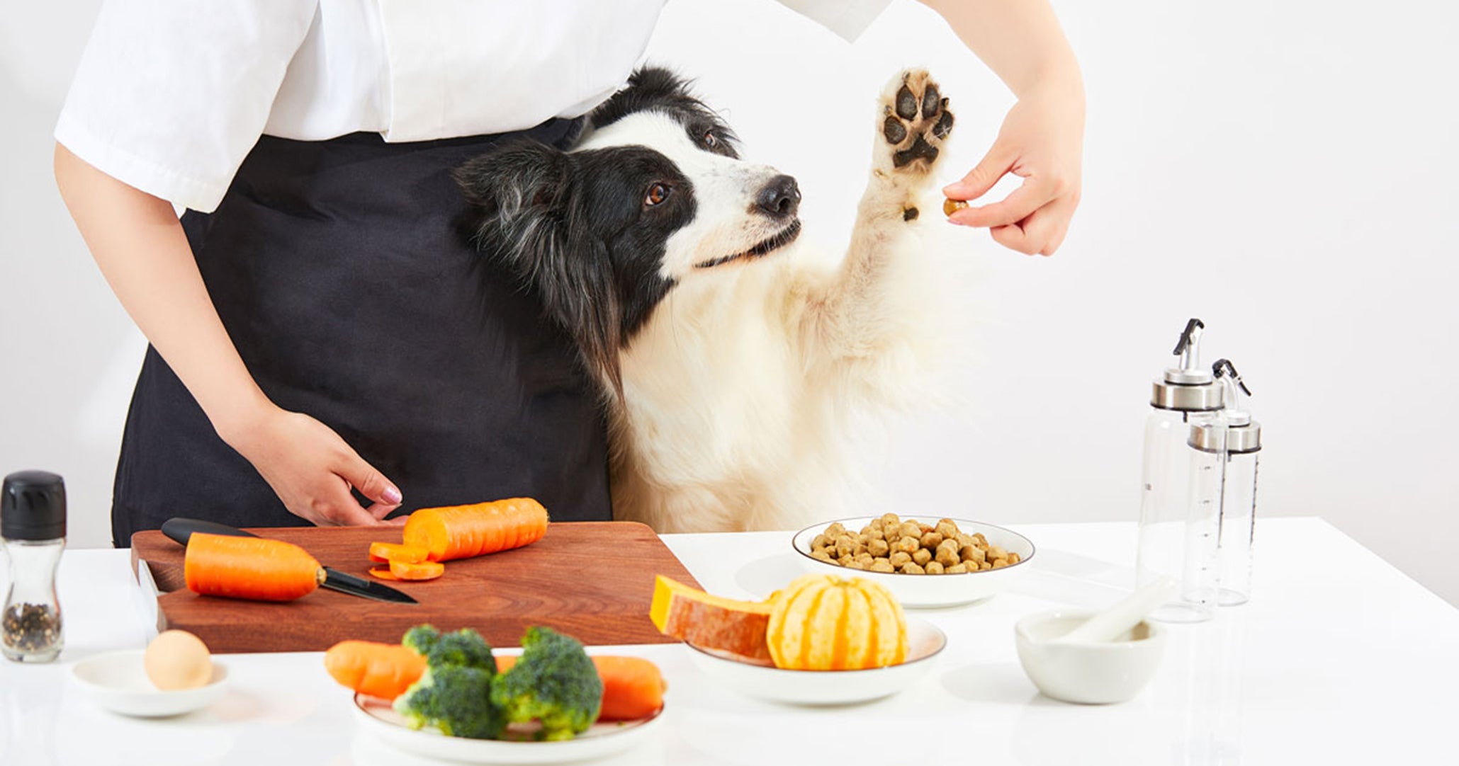 Why is My Dog Shedding More than Usual?