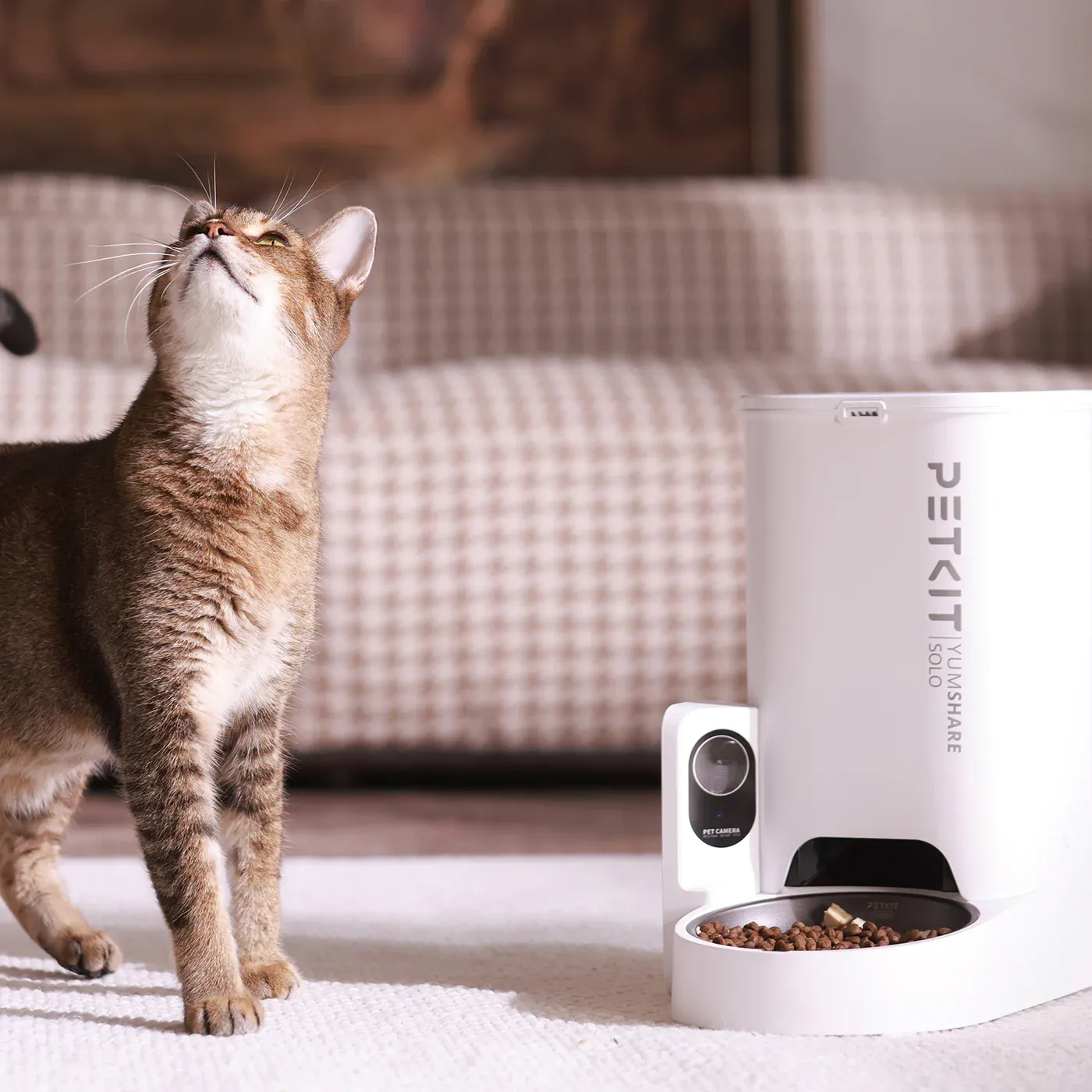 Cat food outlet dispenser with camera