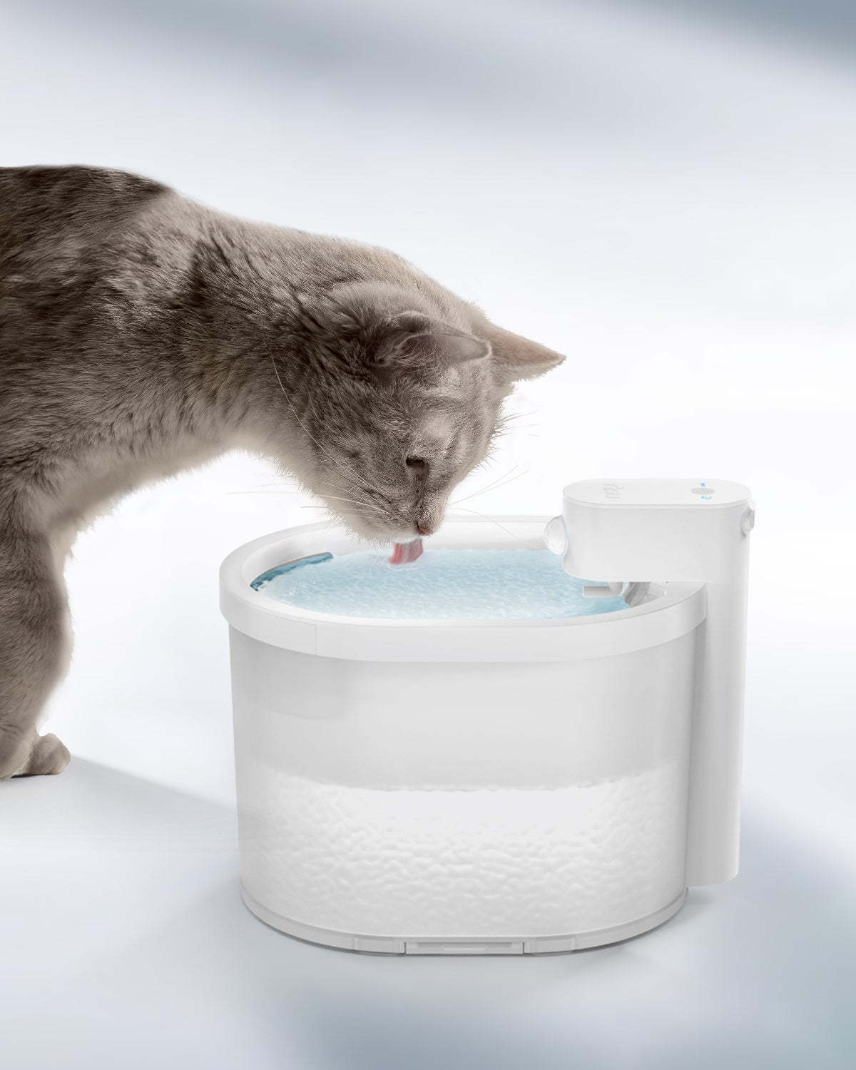 Uervoton pet water clearance fountain