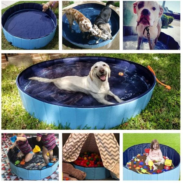 Portable Dog Pool