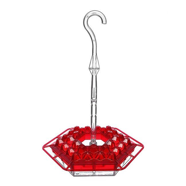 Hummingbird Feeder With Perch And Built-in Ant Moat
