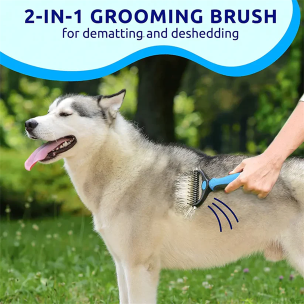 🔥Summer discount🔥Pawsitively Groomed Groomer