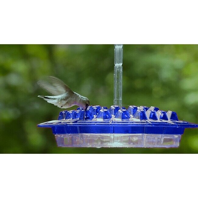 Hummingbird Feeder With Perch And Built-in Ant Moat