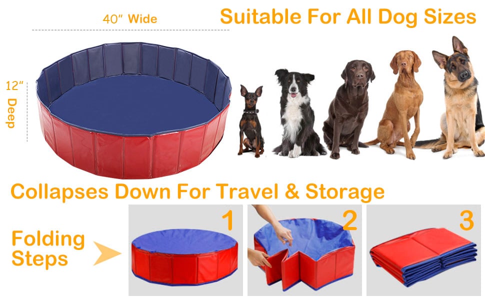 Portable Dog Pool