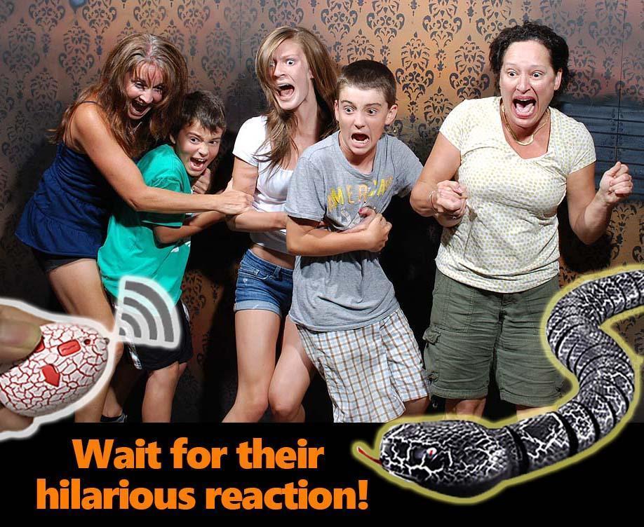 50% OFF TODAY ONLY - Remote Control Snake Toy